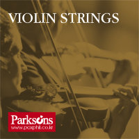 Parksons Violin Струни для скрипки