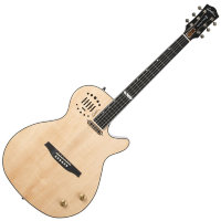 Godin 047895 Multiac Steel Natural HG With TRIC