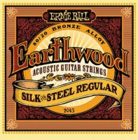 Ernie Ball 2043 Earthwood Silk And Steel Regular 13/56