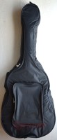 Avzhezh STRBA0212 для 12-стр. гітари (Утеплення 5 мм)