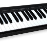 Alesis Q49 MIDI клавіатура