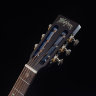 Акустична гітара Washburn WP33SRS