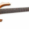 Бас-гітара ESP LTD F-5E Mahogany (Natural Satin)