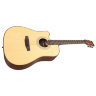 Акустична гітара TYMA HDC-100 NS