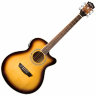 Електро-акустична гітара Washburn EA15ATB