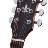 Акустична гітара Schecter Deluxe Acoustic Ns