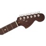 Електрогітара Fender AMERICAN PROFESSIONAL STRAT LTD ROASTED ASH ROSEWOOD NECK