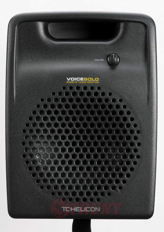 TC Electronic VoiceSolo VSM-200P Passiv Студійний монітор пасивний