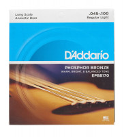 D'Addario EPBB170 Phosphor Bronze Acoustic Bass Long Scale 45/100