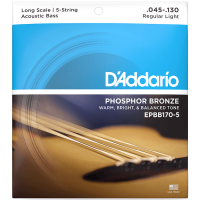 D'Addario EPBB170-5 Phosphor Bronze Acoustic Bass Long Scale 5 Strings 45/130