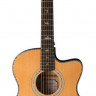 Електро-акустична гітара PRS SE A50E