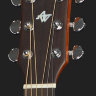 Акустична гітара Ibanez AC240 OPN