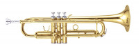 Maxtone TTC60L2 (TTC234L) Труба