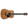 Акустична гітара Ibanez AVD80 NT