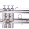 Maxtone TTC60N2 (TTC234N) Труба