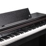 Kurzweil CUP E1 SR