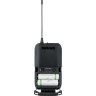 Shure BLX14E/SM31-M17 Радіосистема з головним мікрофоном