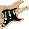 Електрогітара Fender AMERICAN PROFESSIONAL STRATOCASTER MN NATURAL