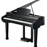 Kurzweil KAG-100 EP Цифрове фортепіано