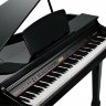 Kurzweil KAG-100 EP Цифрове фортепіано