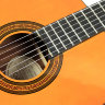 Класична гітара Epiphone PRO-1 CLASSIC 1.75