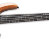 Бас-гітара ESP LTD B-5E Mahogany (Natural Satin)