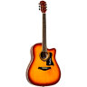 Акустична гітара Equites EQ900C BS 41
