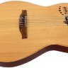 Класична гітара Godin 032150 ACS (SA) Cedar Natural SG With Bag