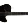 Класична гітара Godin 032174 ACS (SA) Cedar Black With Bag