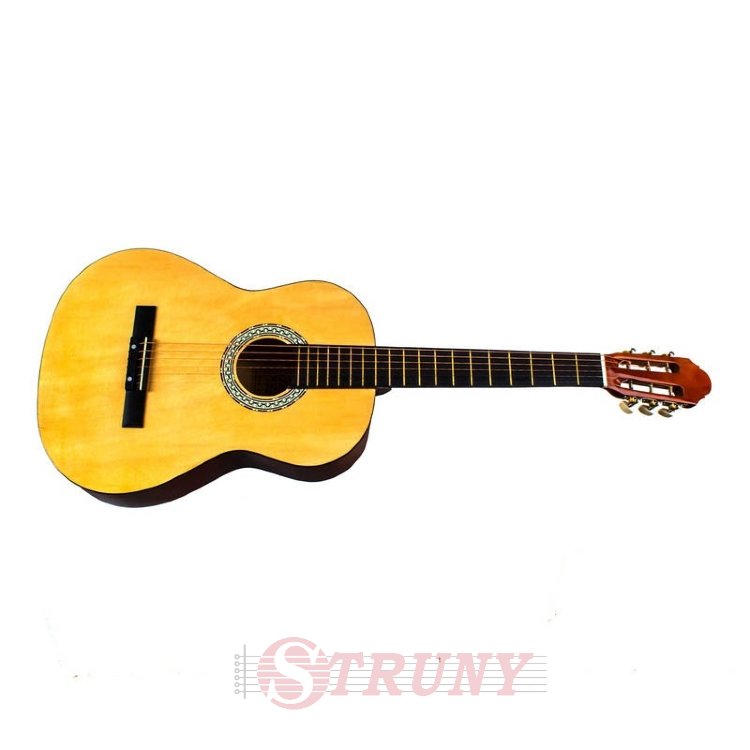 Акустична гітара Bandes AG-831C N