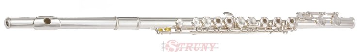 Maxtone TFC53S (TFC48S) Флейта