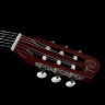 Класична гітара Godin 012817 Multiac Grand Concert HG With Bag