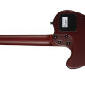 Класична гітара Godin 035045 Multiac Nylon Encore SG With Bag