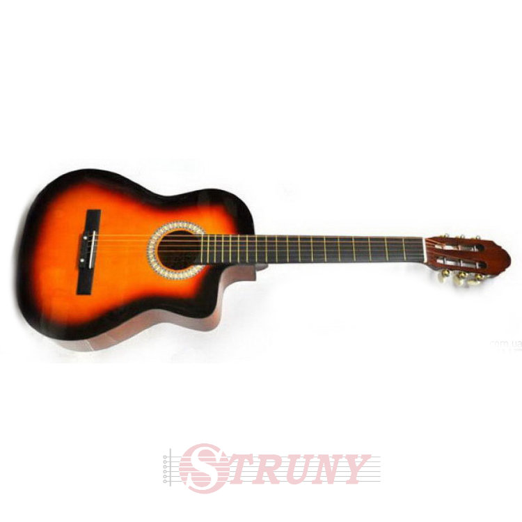 Акустична гітара Bandes AG-851C N