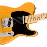 Електрогітара Fender AMERICAN PROFESSIONAL TELECASTER MN BUTTERSCOTCH BLOND