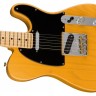 Електрогітара Fender AMERICAN PROFESSIONAL TELECASTER MN BUTTERSCOTCH BLOND
