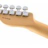 Електрогітара Fender AMERICAN PROFESSIONAL TELECASTER MN BUTTERSCOTCH BLOND