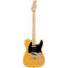 Електрогітара Fender AMERICAN PROFESSIONAL TELECASTER MN BUTTERSCOTCH BLOND