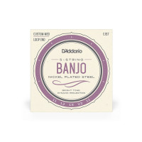 D'Addario EJ57 5-String Banjo Nickel Custom Medium 11/22