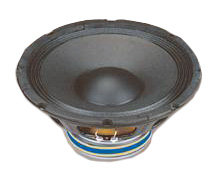 SoundKing SKFB802-1H динамік 8"