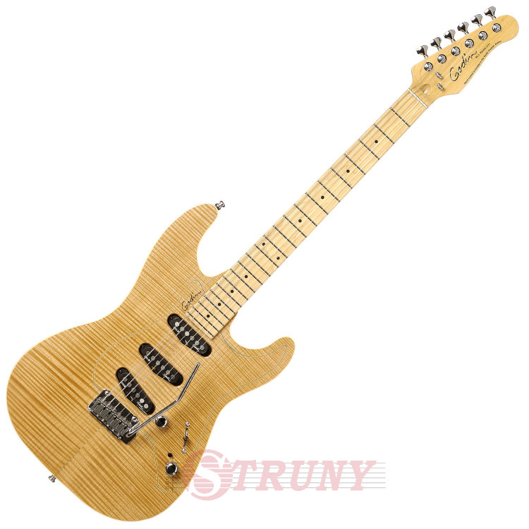 Електрогітара GODIN 31085 - Passion RG3 Natural Flame MN With Tour Case