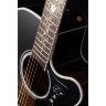 Електро-акустична гітара TAKAMINE EF450-TT TBB