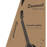 Акустична гітара Savannah SG BOX NA набор