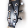 Акустична гітара Savannah SG BOX NA набор