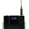 AUDIX AP41FLUTEB Performance Series w/ADX-10FL-P UHF Радіосистема (флейта)