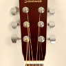 Акустична гітара Savannah SGD12 NA дредноут