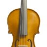 Stentor 1400/C Скрипка 3/4 Student I