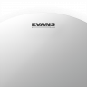 Evans B14G1 14