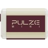 Комбопідсилювач HOTONE AUDIO PULZE MINI