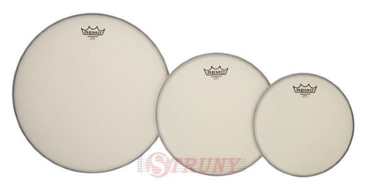 REMO Tom Pack 10",12",16" Coated BA Export Only Набір пластиків з напиленням
